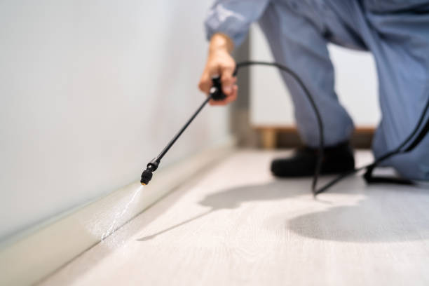 Rodent Entry Point Assessment in Hahnville