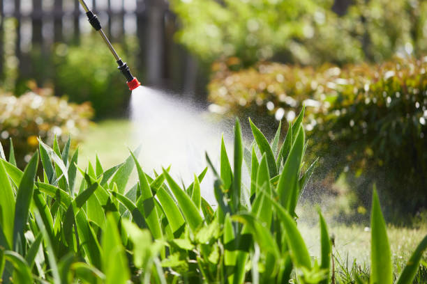 Tamper-Resistant Bait Stations for Rodents in Hahnville