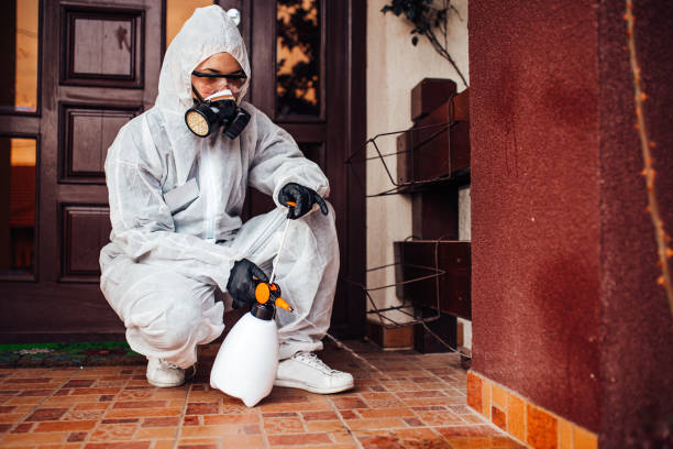 Attic and Crawl Space Rodent Treatment in Hahnville