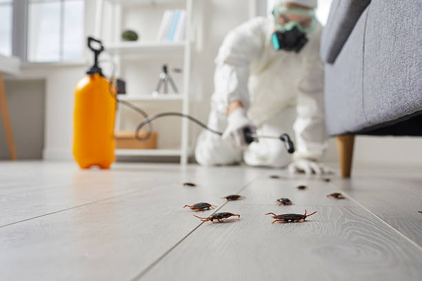Commercial Rodent Management in Hahnville